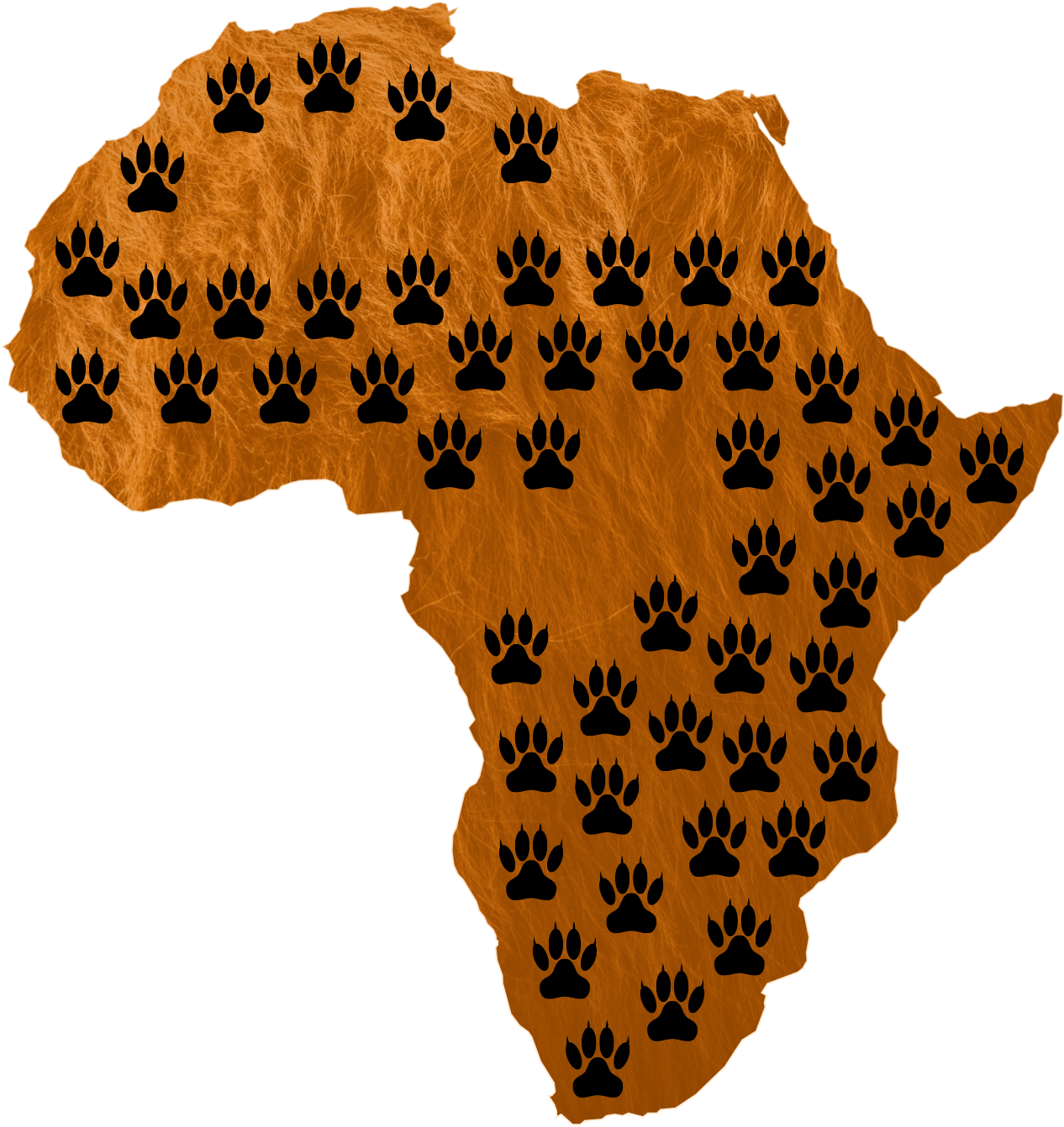 Hizi ni sababu za<br />simba kuwa hatarini