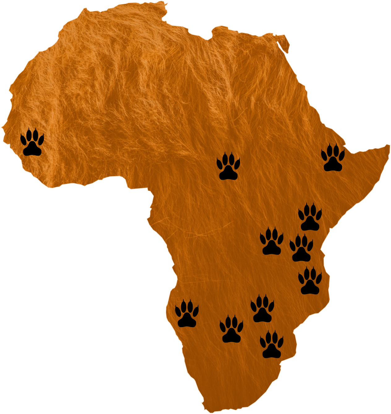 Simba wako hatarini