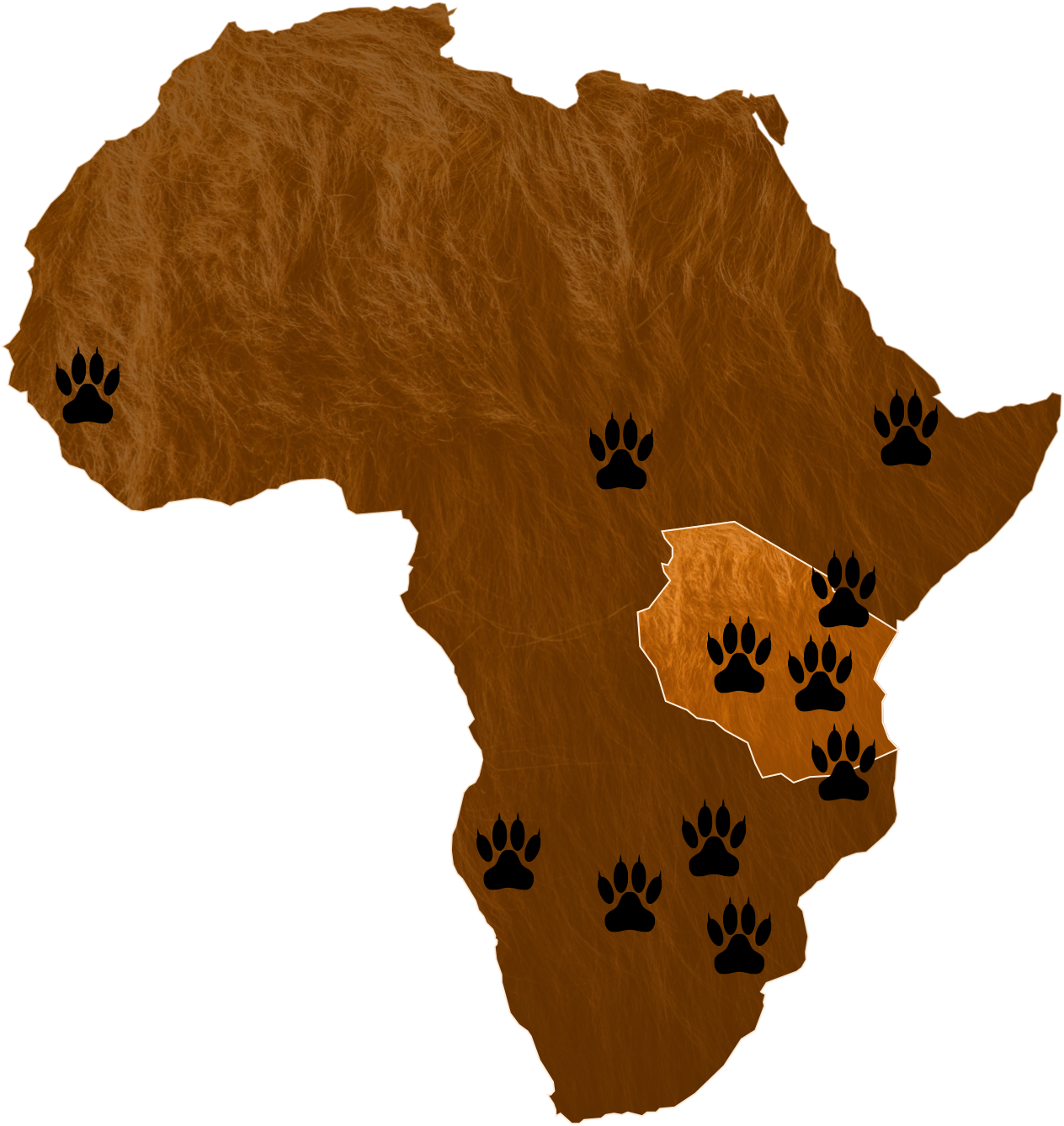 Tanzania ina 40% ya simba wote waliobaki duniani.
