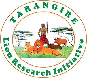 Tarangire Lion Research Initiative